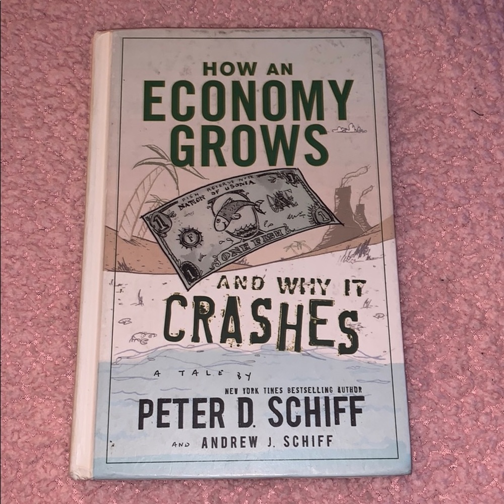 how an economy grows and why it crashes book